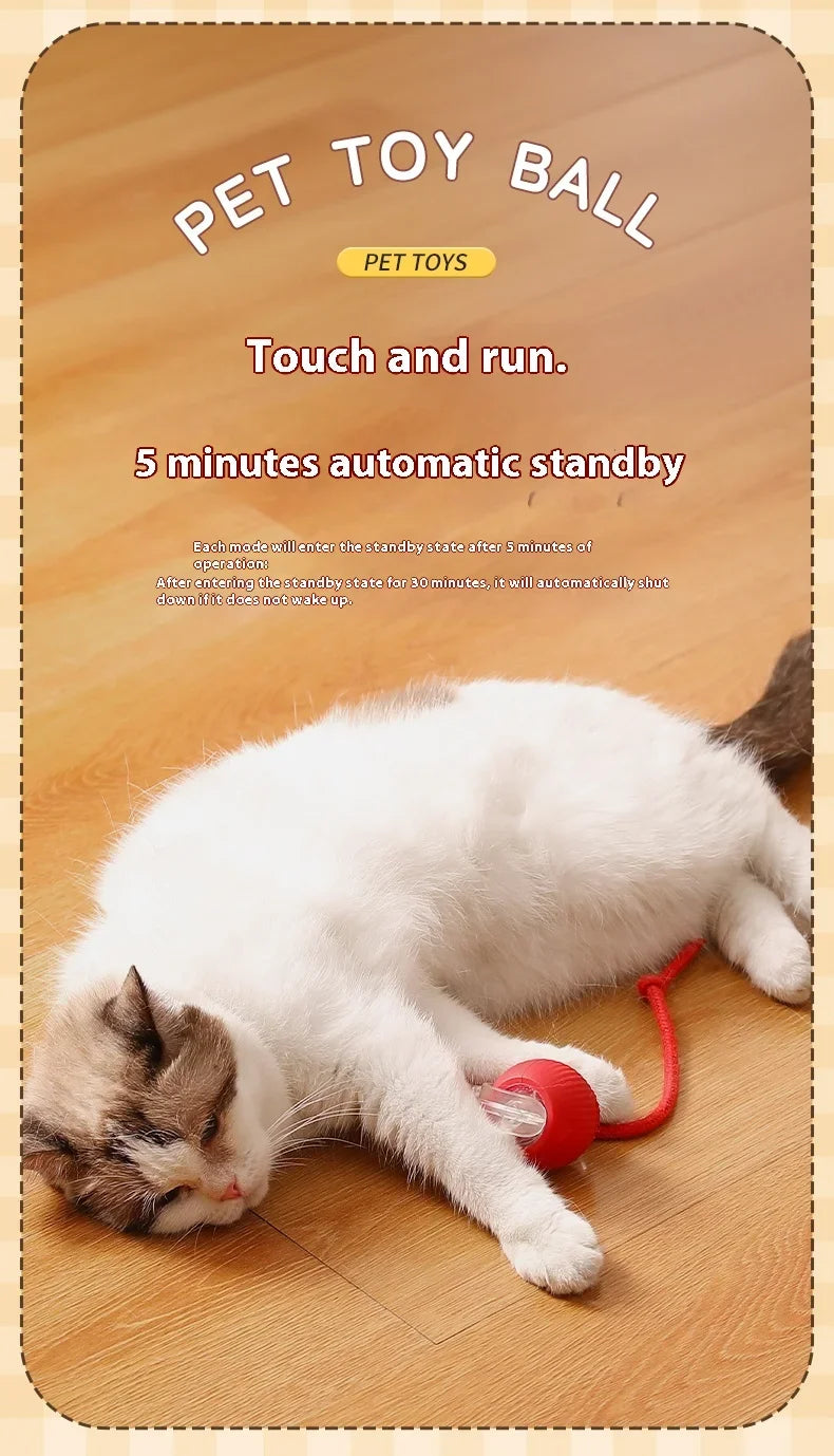 Rotating Smart Ball Cat Toy -USB Rechargeable