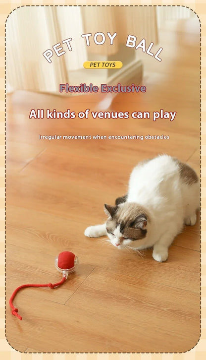 Rotating Smart Ball Cat Toy -USB Rechargeable