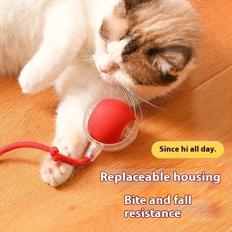 Rotating Smart Ball Cat Toy -USB Rechargeable