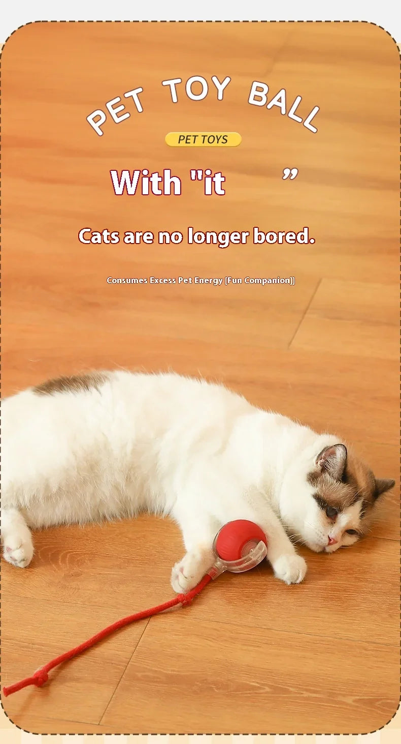 Rotating Smart Ball Cat Toy -USB Rechargeable